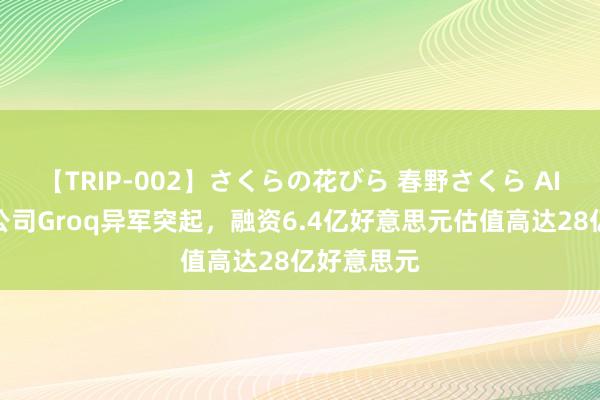 【TRIP-002】さくらの花びら 春野さくら AI芯片初创公司Groq异军突起，融资6.4亿好意思元估值高达28亿好意思元