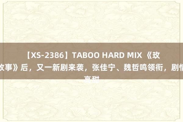 【XS-2386】TABOO HARD MIX 《玫瑰的故事》后，又一新剧来袭，张佳宁、魏哲鸣领衔，剧情高甜