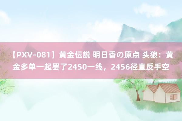 【PXV-081】黄金伝説 明日香の原点 头狼：黄金多单一起罢了2450一线，2456径直反手空