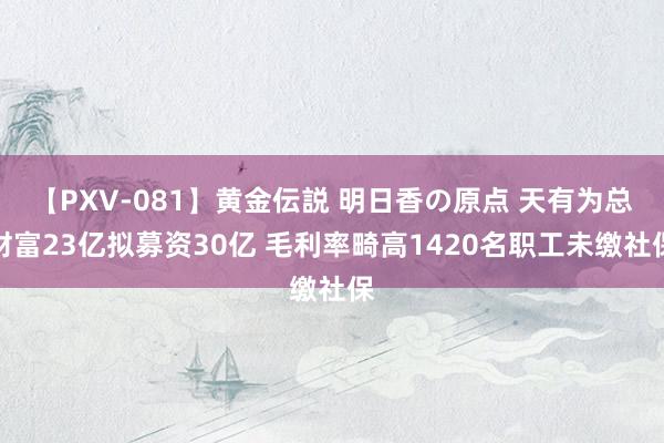 【PXV-081】黄金伝説 明日香の原点 天有为总财富23亿拟募资30亿 毛利率畸高1420名职工未缴社保