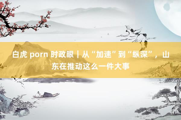 白虎 porn 时政眼｜从“加速”到“纵深”，山东在推动这么一件大事