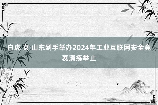 白虎 女 山东到手举办2024年工业互联网安全竞赛演练举止