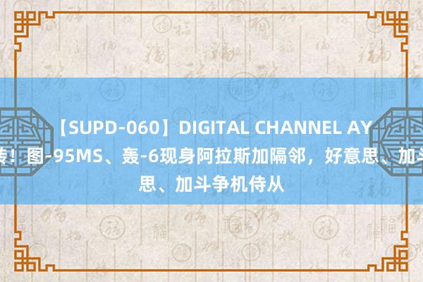 【SUPD-060】DIGITAL CHANNEL AYA 剧情回转！图-95MS、轰-6现身阿拉斯加隔邻，好意思、加斗争机侍从