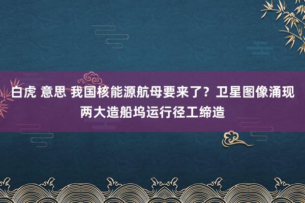 白虎 意思 我国核能源航母要来了？卫星图像涌现两大造船坞运行径工缔造