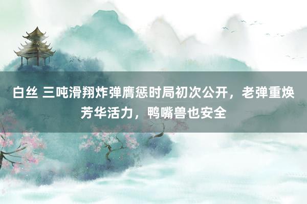 白丝 三吨滑翔炸弹膺惩时局初次公开，老弹重焕芳华活力，鸭嘴兽也安全