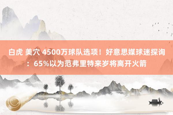 白虎 美穴 4500万球队选项！好意思媒球迷探询：65%以为范弗里特来岁将离开火箭