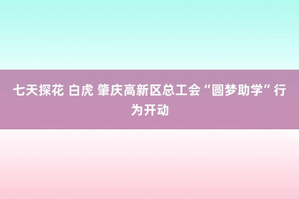 七天探花 白虎 肇庆高新区总工会“圆梦助学”行为开动