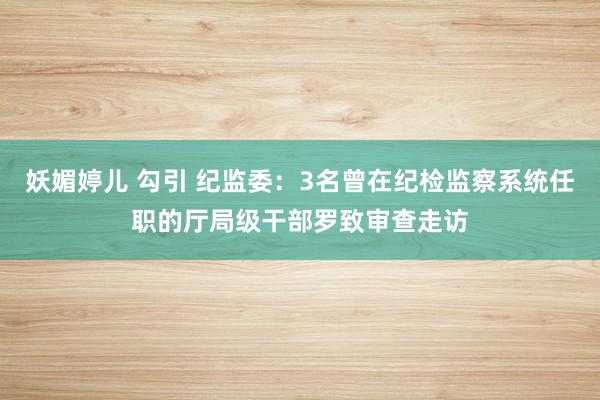 妖媚婷儿 勾引 纪监委：3名曾在纪检监察系统任职的厅局级干部罗致审查走访